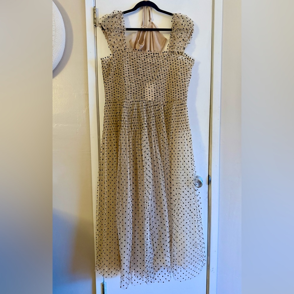 Doen Pamelina Dress Cream - Flocked Dot Tulle Dress - Picture 2 of 7